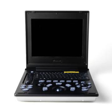 Laptop ultrasound for perirenal gap in Maine cats