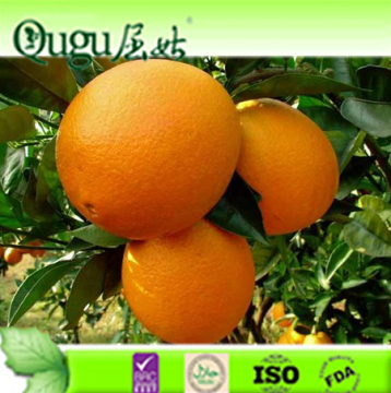 2016 China fresh Juicy Sweet Citrus