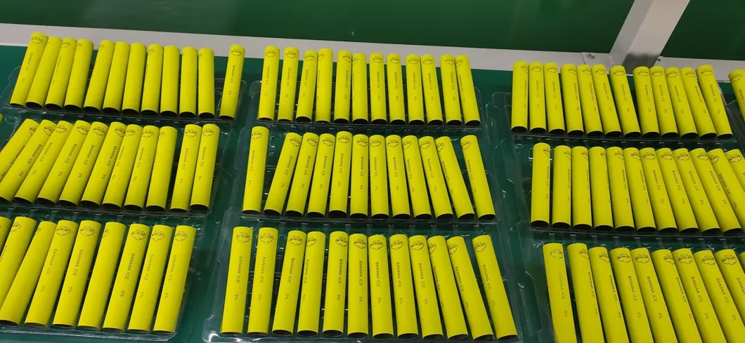 5% Vape Ejuice Disposable Vape 550mAh 800 Puffs Vape Pen
