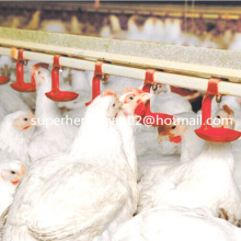 Auto-Geflügel-trinkendes System für Huhn-Bauernhof