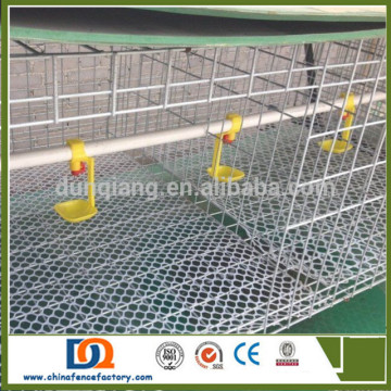 PVC Coated Welded Wire Mesh chicken laying cages