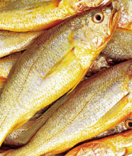 Frozen Cultivated Yellow Croaker