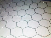 Hexagonal Wire Mesh for chicken