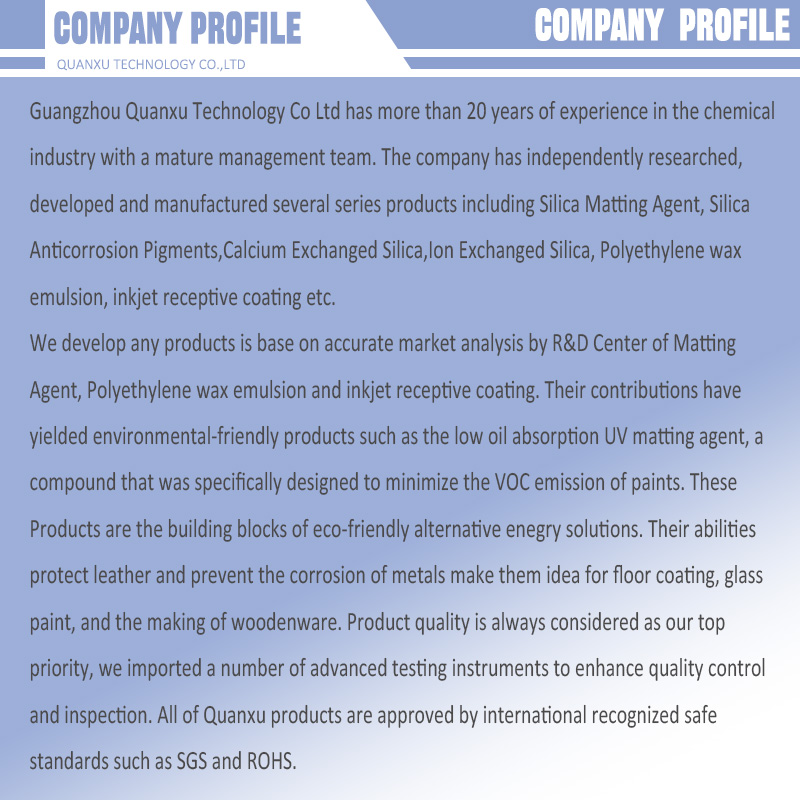 company profile（1）