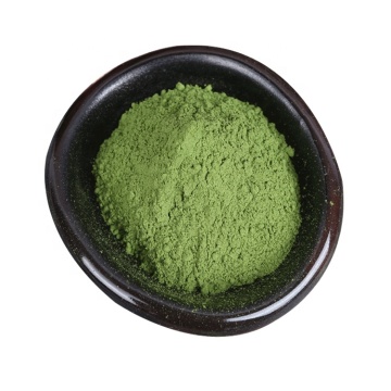 Water Soluble Fresh Dehydrated Spinach Powder