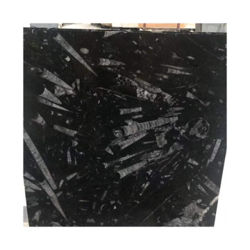 Moroccan Fossil Marble Tables - Unique Handcrafted Furniture