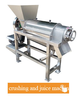 Automatic Lemon Squeezer Passion Fruit Processing Natural Fruit Juice Making Machine