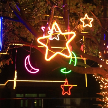 Star Moon Outdoor Pendant Light