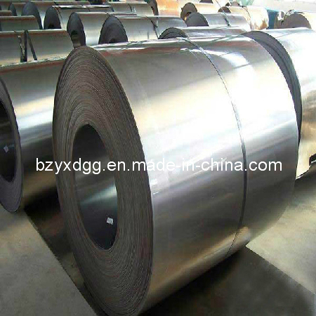 Galvanised Steel Coil