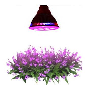Looking for Products to Represent LED Grow Lamp