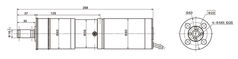 Golf Trolley Motor