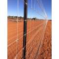 Pig wire mesh for Austrlia market