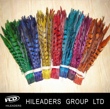 Decorative Dyed Ringneck Pheasant Tail Feather (FH012)