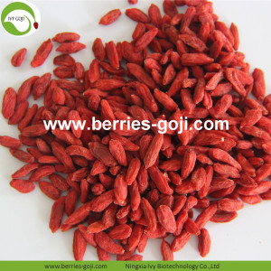 แหล่งผลิตที่มีคุณภาพดีที่สุด Anti tumor Goji Berry