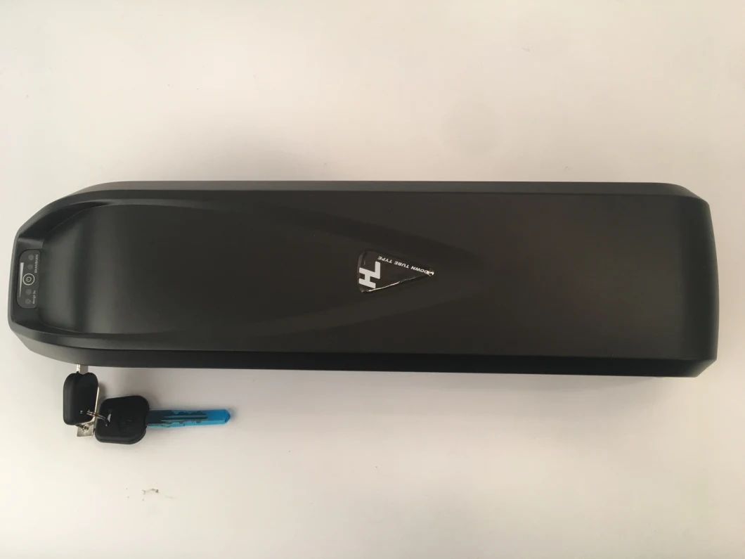 Strong Power 48V 10ah Battery Pack