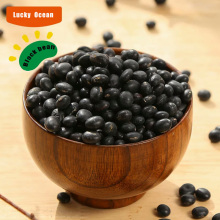 yellow kernel black bean new crop