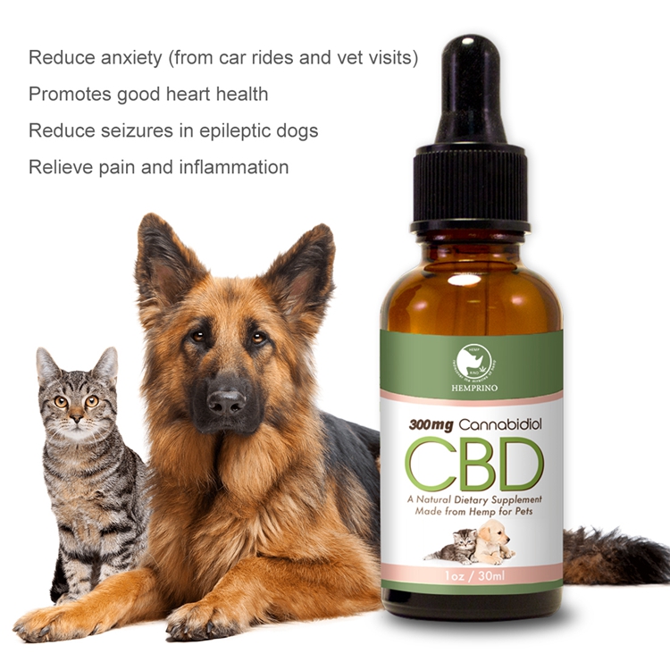 Hemp CBD oil tincture for pets with vitamins pain relief private label