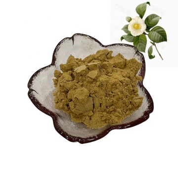 factory supply pure natural camellia sinensis extract/tea plant flower/tea blossom extract