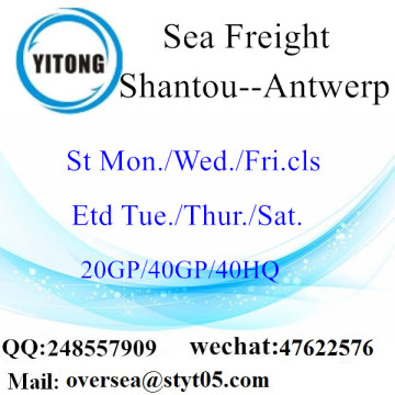 Frete do mar do porto de Shantou que envia a Antuérpia