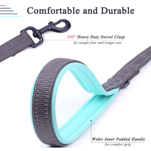 Two Handles Dog Leash