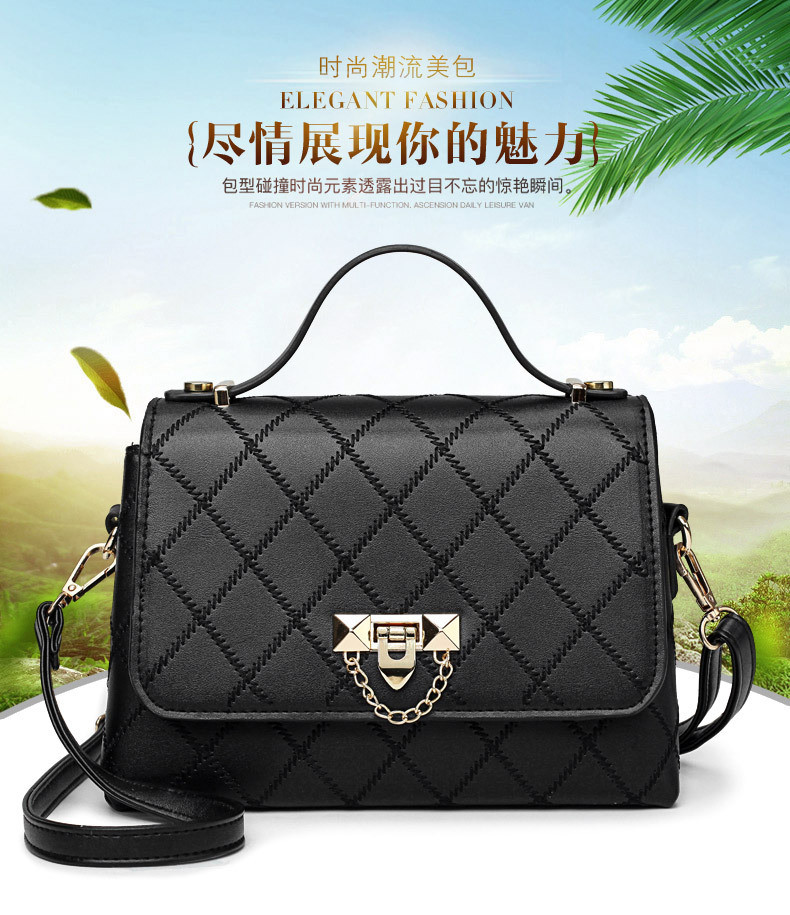 lady hand bags s12021 (1)