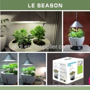 Le Season 