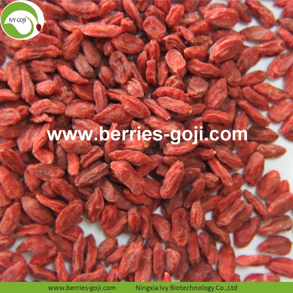 Goji-Beeren goji berry