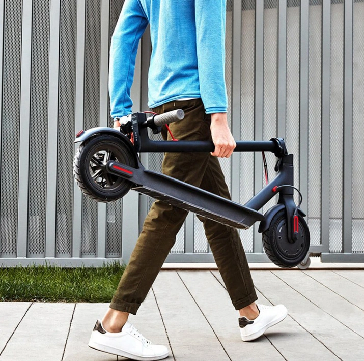 Ninebot Es2 Foldable Electric Scooter with Lithium Battery