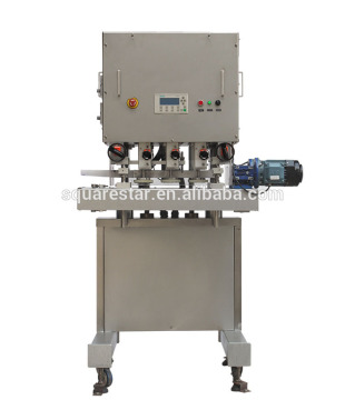 Hot selling linear automatic cap sprayer capper