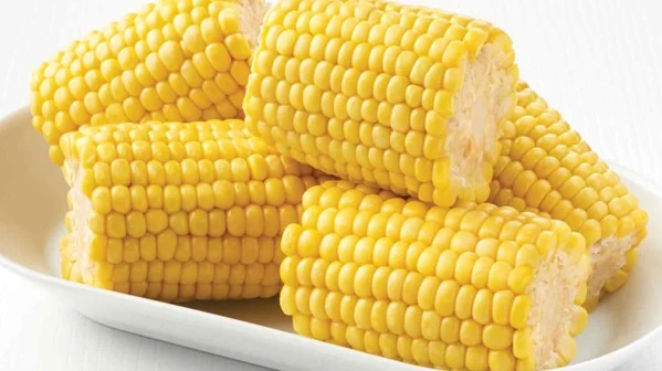 Nop EU Organic Frozen Sweet Corn Cut Super Sweet From China