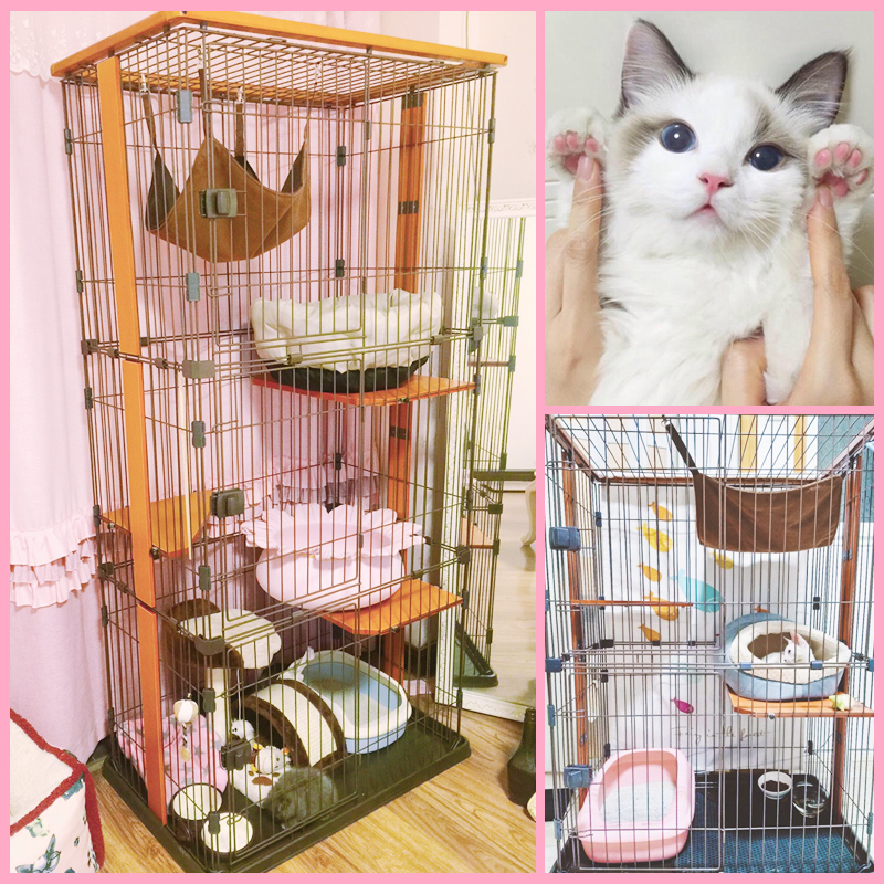 high quality hengshui Three ayers cat cage/pet cage for breeding