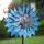 360 องศาหมุน Dual Direction Wind Spinner