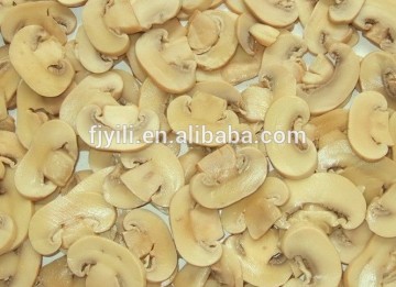 Chinese canned mushroom slice
