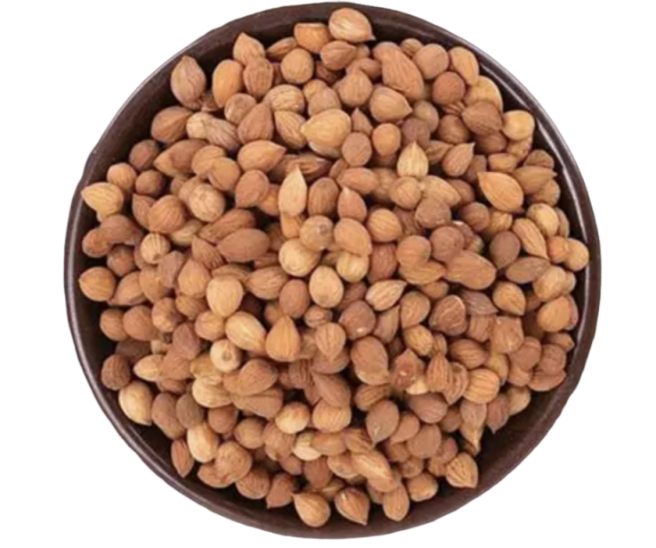 Производитель экстракта Prunus Japonica Prunus Japonica Extract Manufacturer