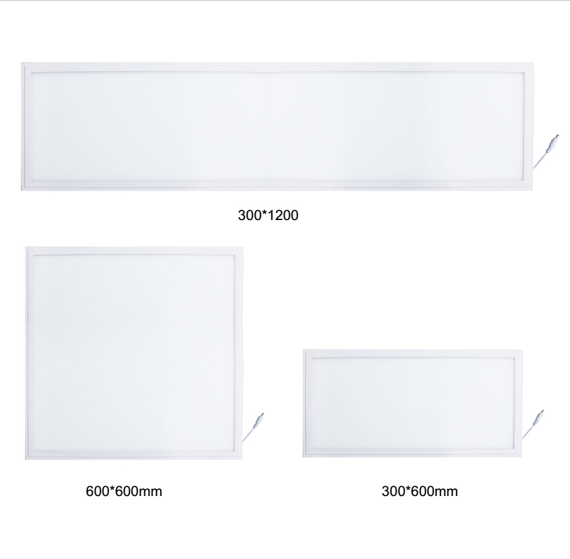 ONN-P1P  Cleanroom Lighting Fixtures Led Light Panel 600*600mm