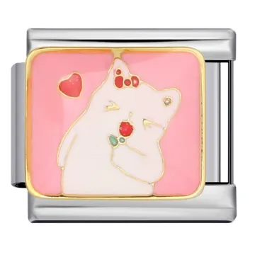 Fashion Sweet Pink Heart Italian Charm Bracelet for Women