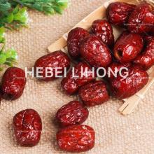 Seedless Crispy  Red Dates