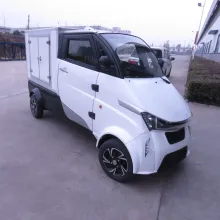 EEC L6e Approved Mini Electric Van