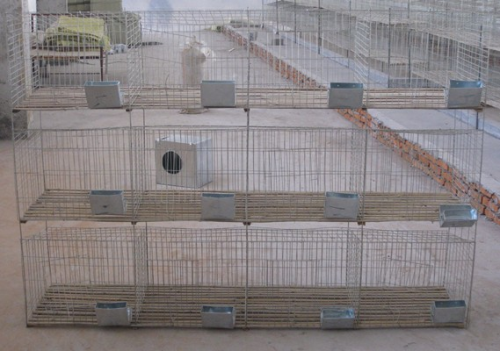 Rabbit Farming Cage