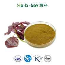 High Quality Perilla Leaf Extract