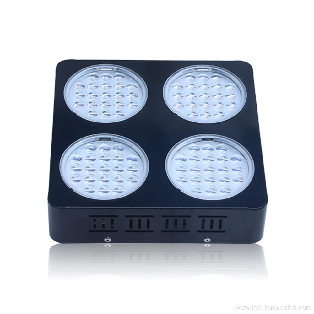 Hydroponic Vertical Led Grow Light