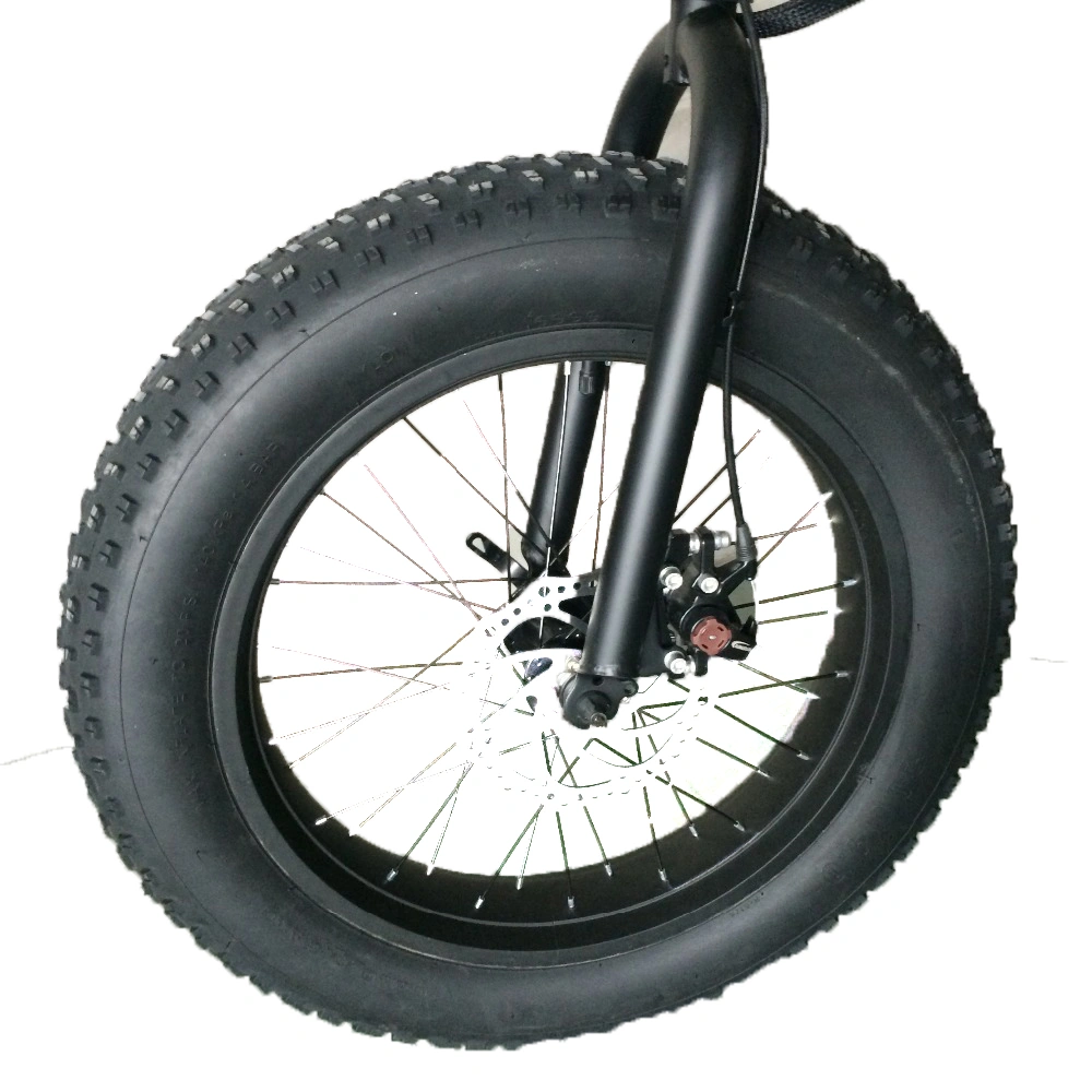 Bafang Motor 500/750/1000W 20 Inch Fat Tire Folding Ebike