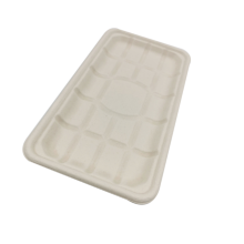 Compostable Sugarcane Pulp Bagasse Meat/Vegetable/Food Tray