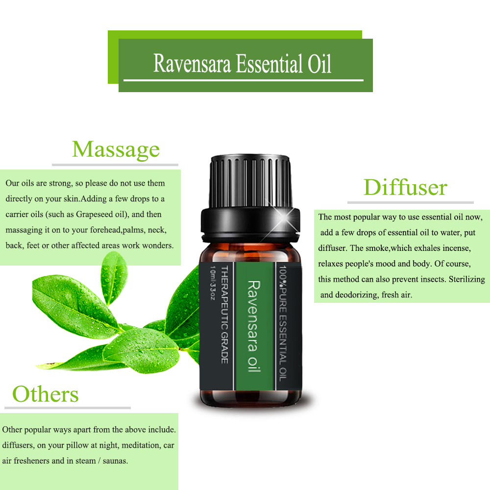 100% Pure Organic Ravensara Essential Oil For Aromatherapy