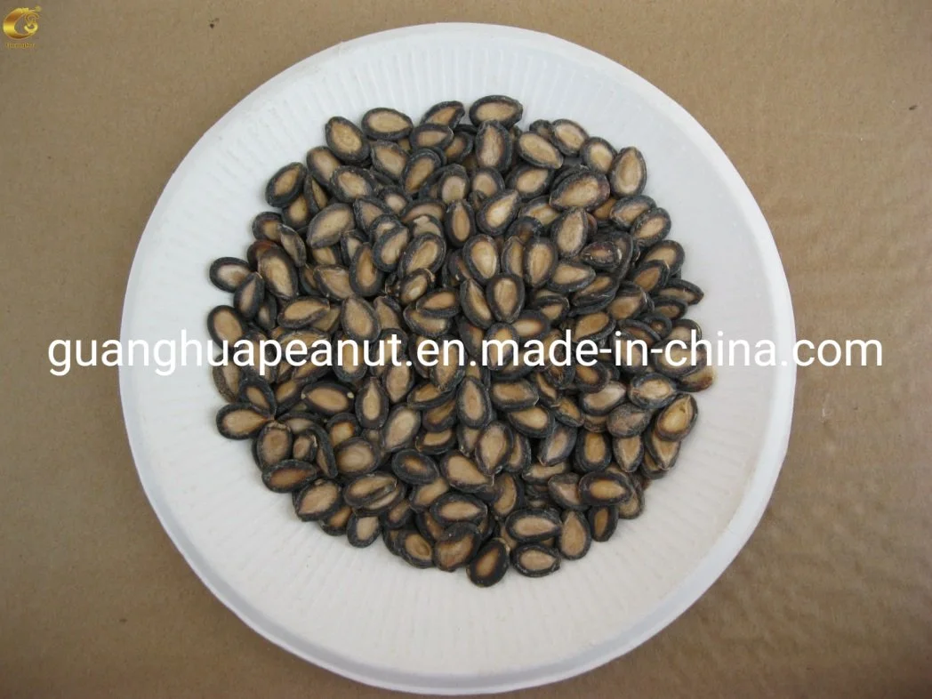 Best Quality Watermelon Seeds with Ce