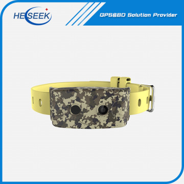 Pet Tracking Devices GPS Activity Dog Trackers