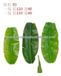 monstera leaves,dried banana leaf ,foliage tree leaves decoration