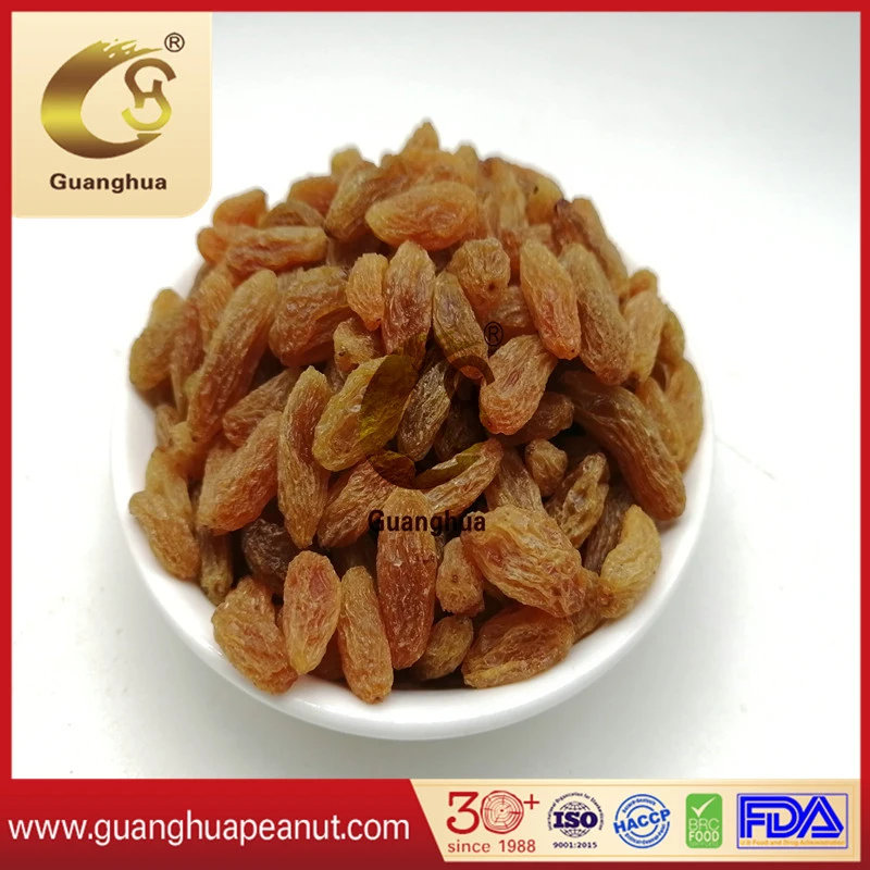 Hot Sale Best Quality Natural Dried Frame Raisin