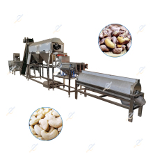 Automatic Cashew Nut Kernel Processing Machine