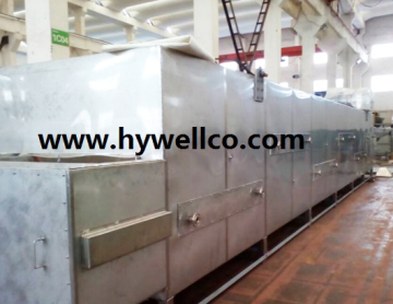 Hot Sale Continuous Pistachio Nuts Dryer